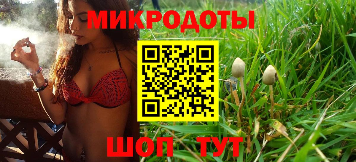 Галлюциногенные грибы Psilocybine cubensis Губаха