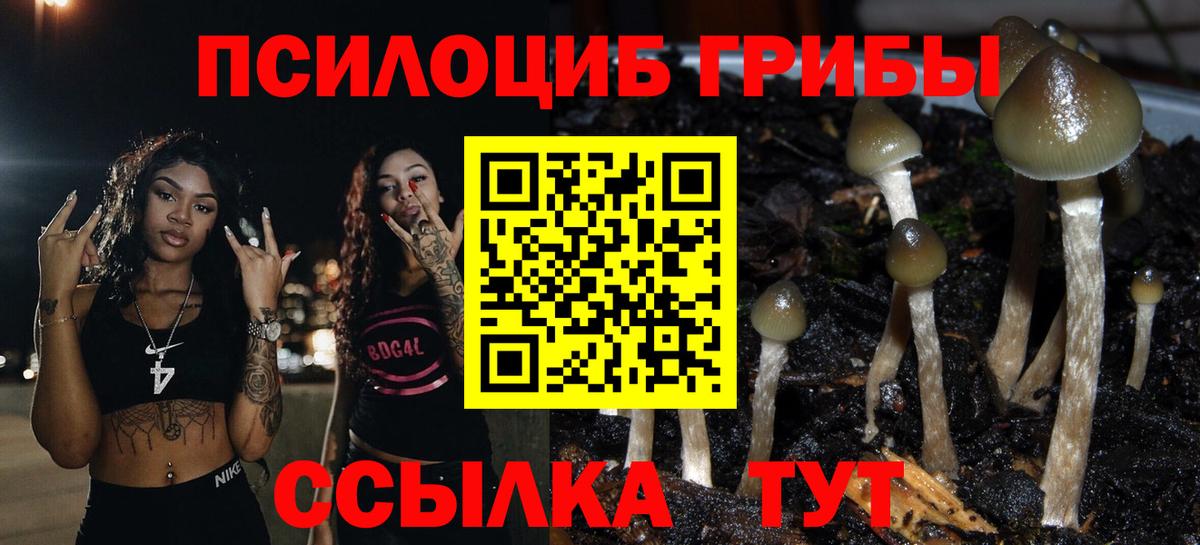 Галлюциногенные грибы ЛСД  Вход с VPN  Губаха 